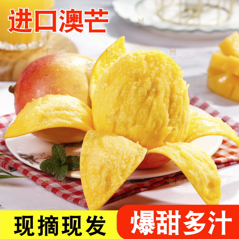 浅底上的澳芒
