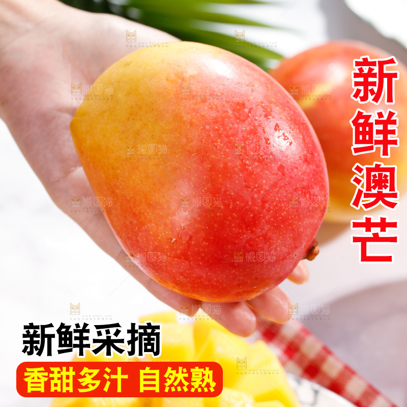 浅底上的澳芒