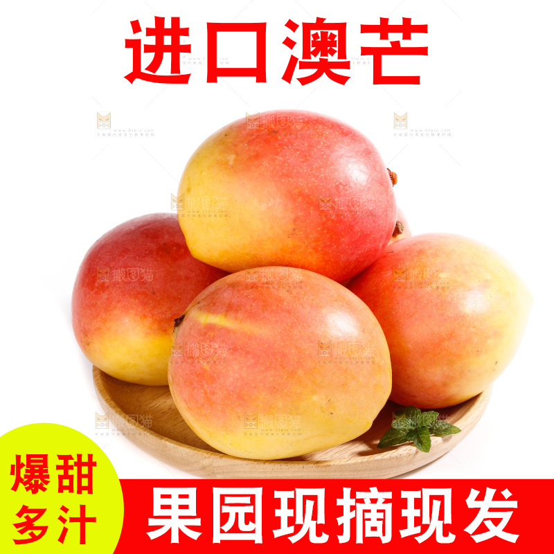 白底上的澳芒