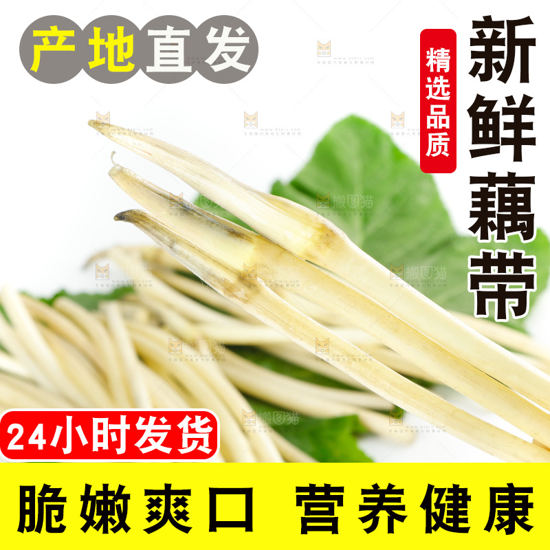 白底上的新鲜藕带
