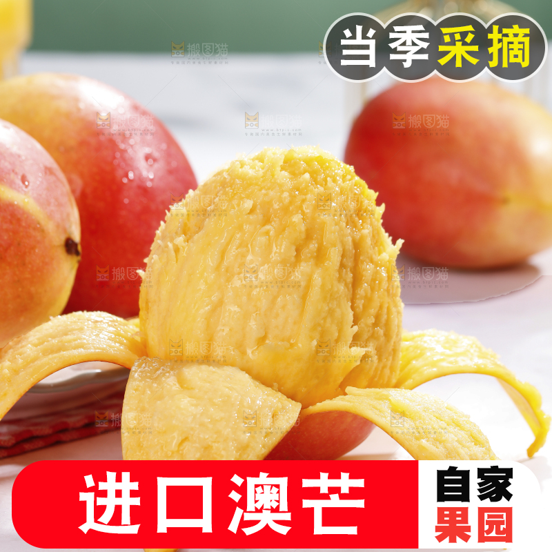 浅底上的澳芒