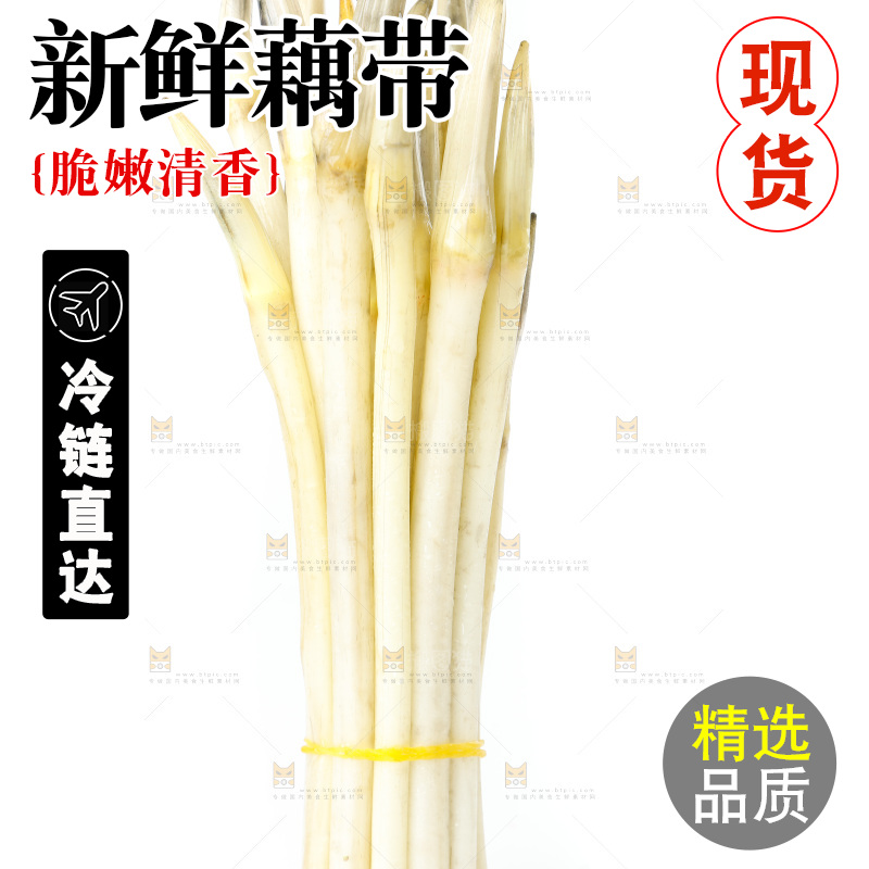 白底上的新鲜藕带