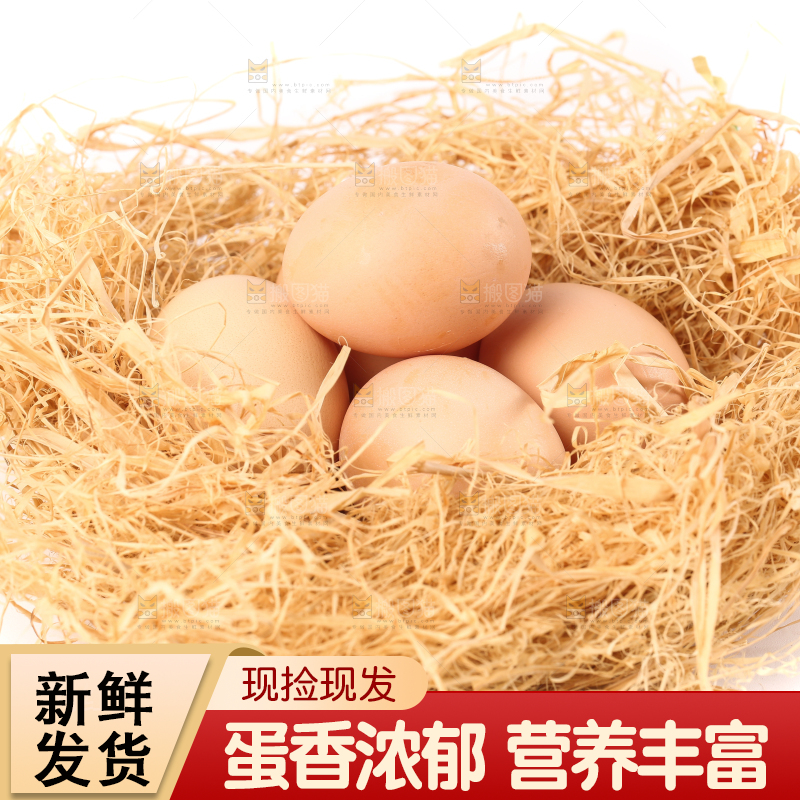 白底上的土鸡蛋
