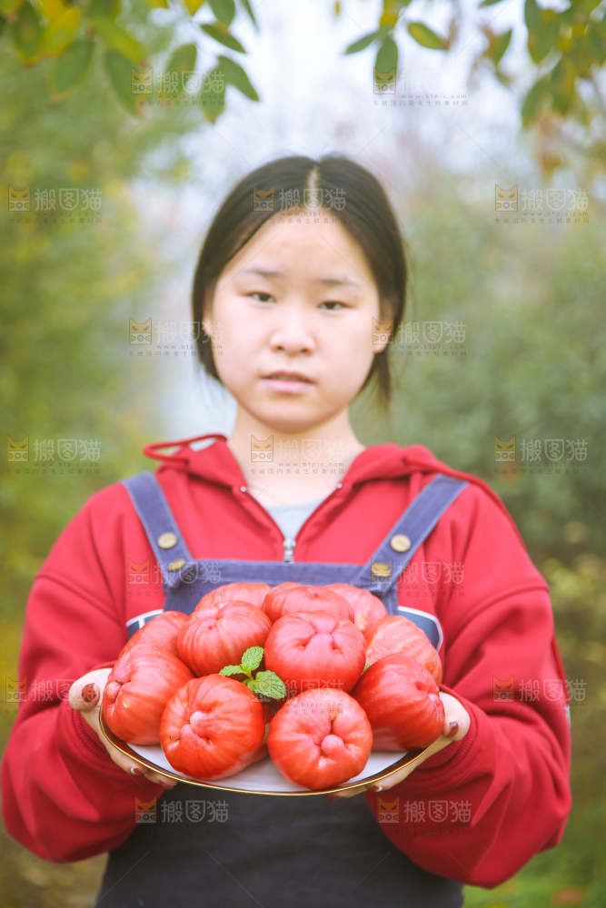 手里拿着黑金刚莲雾