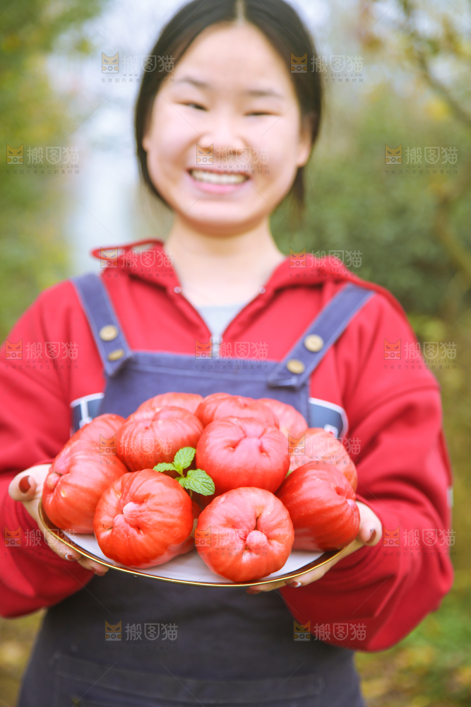 手里拿着黑金刚莲雾