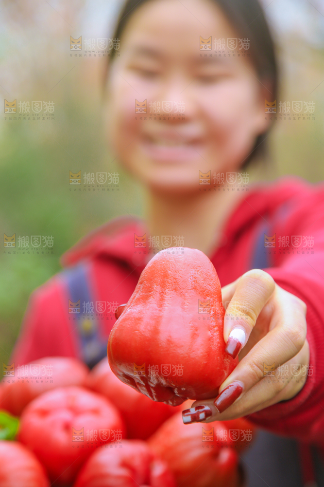 手里拿着黑金刚莲雾