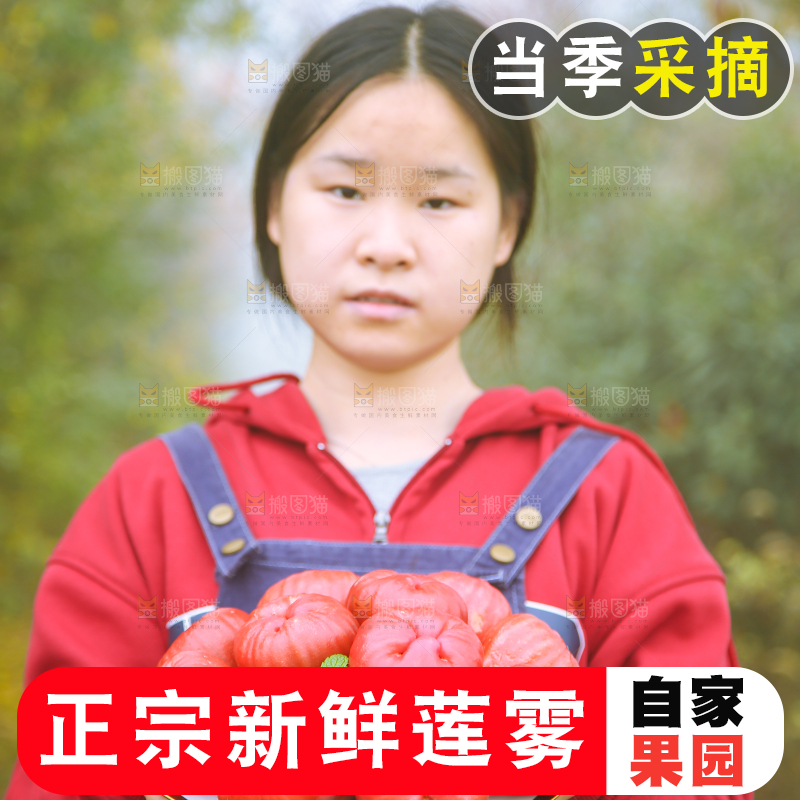 手里拿着黑金刚莲雾