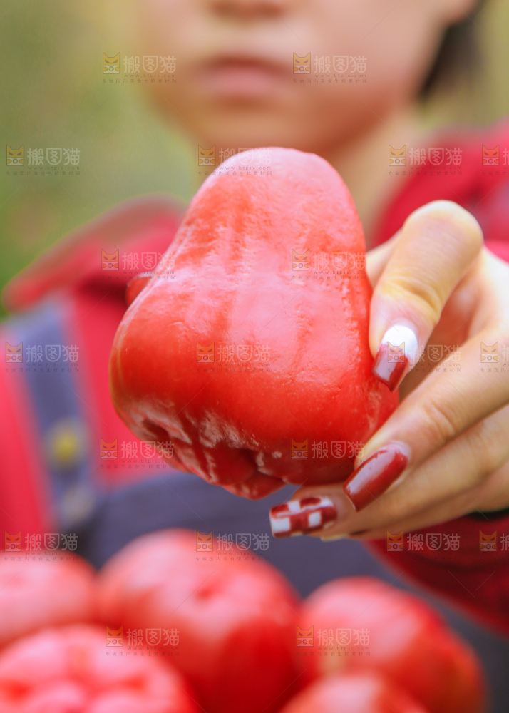手里拿着黑金刚莲雾