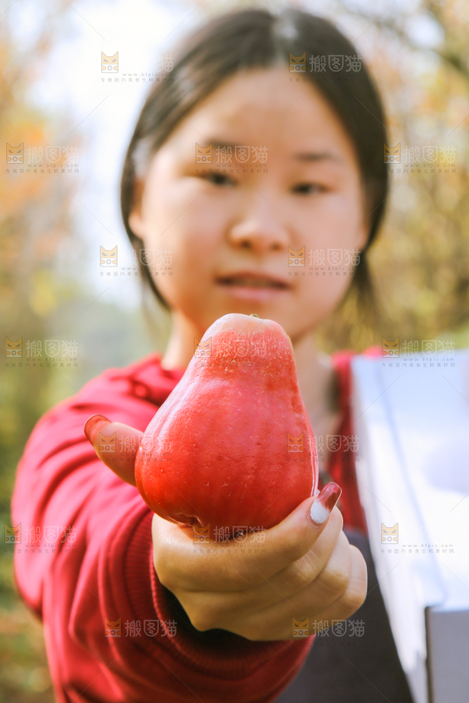 手里拿着黑金刚莲雾