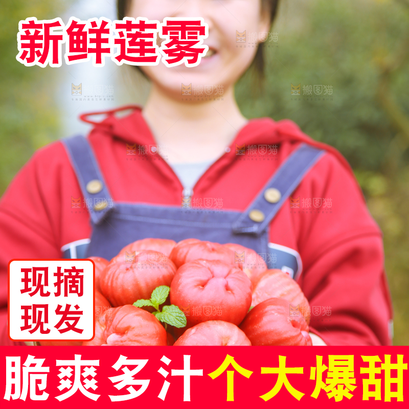 手里拿着黑金刚莲雾