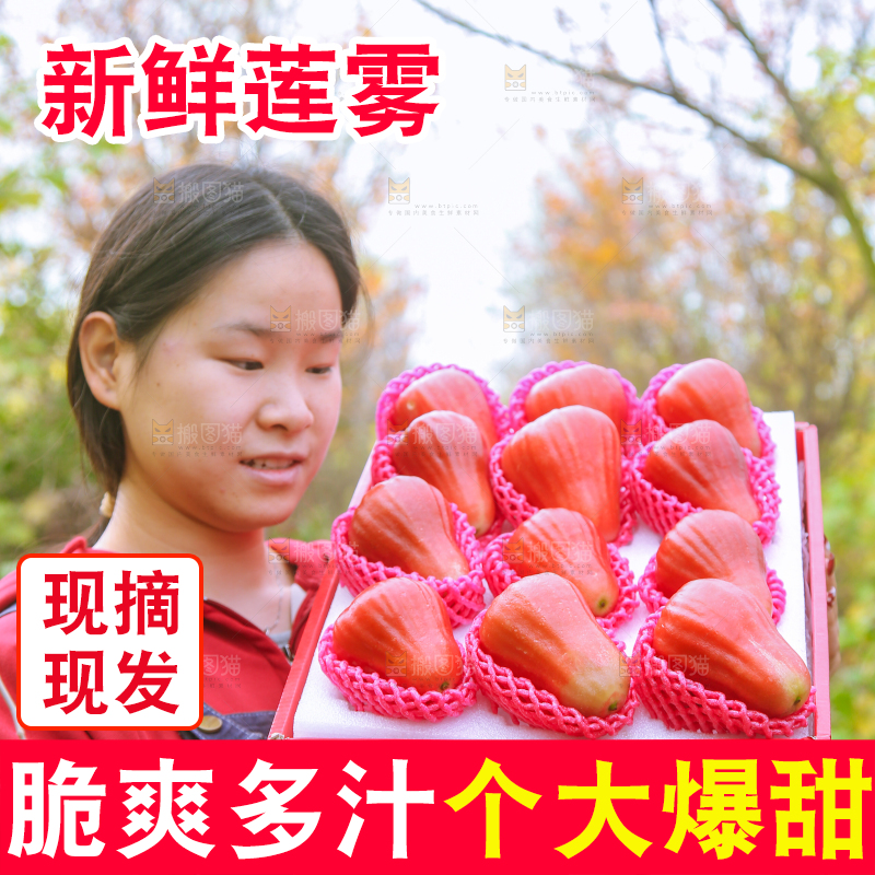 手里拿着黑金刚莲雾