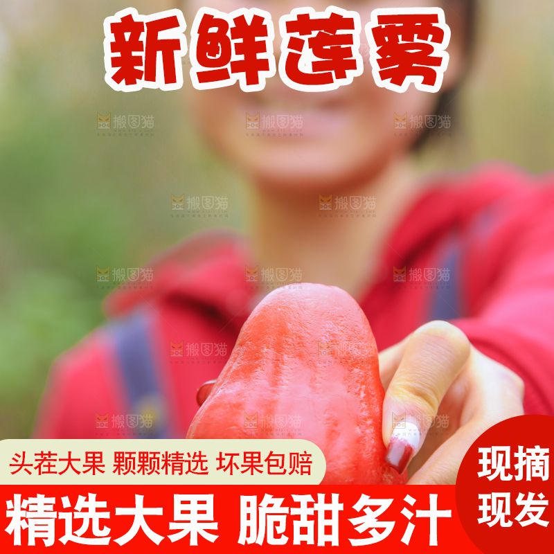 手里拿着黑金刚莲雾