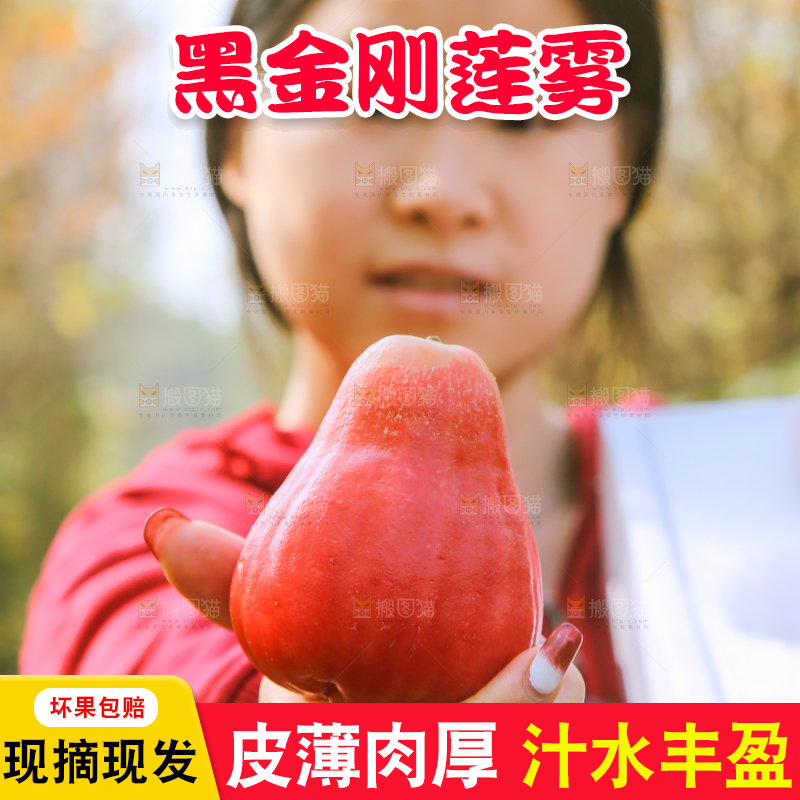 手里拿着黑金刚莲雾