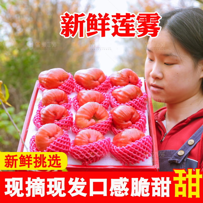 手里拿着黑金刚莲雾