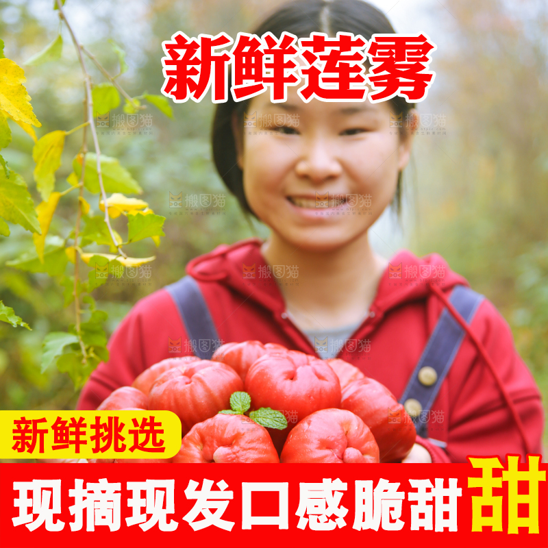 手里拿着黑金刚莲雾