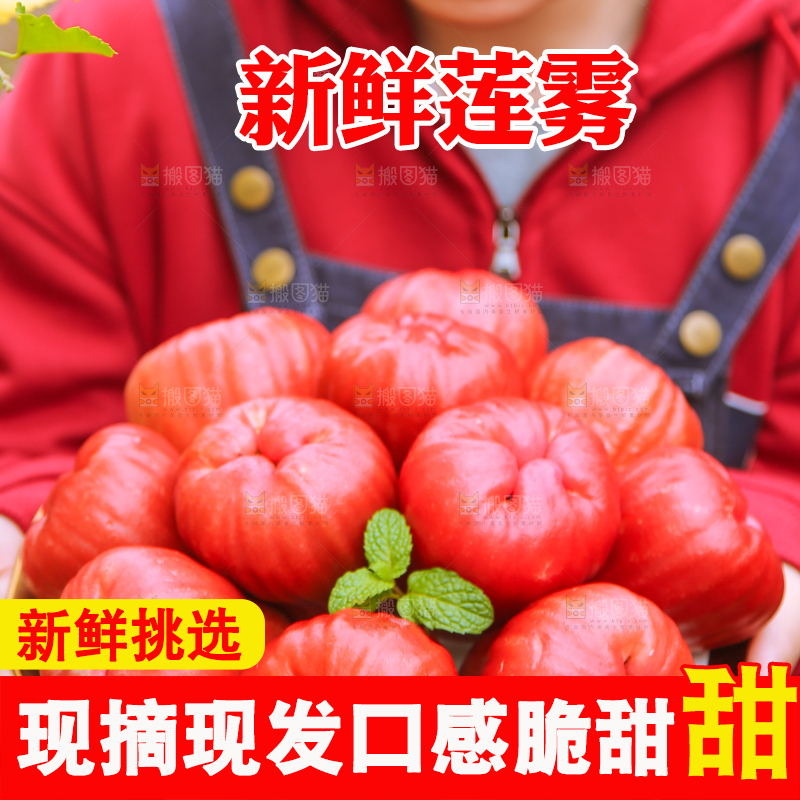 手里拿着黑金刚莲雾
