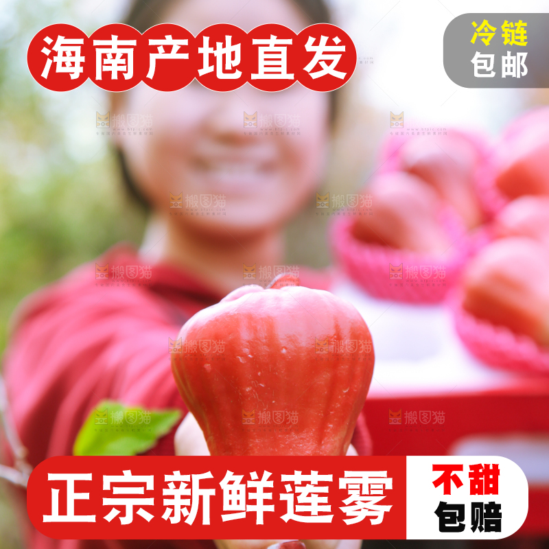 手里拿着黑金刚莲雾