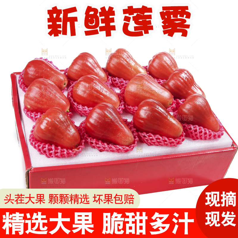 白底上的新鲜莲雾