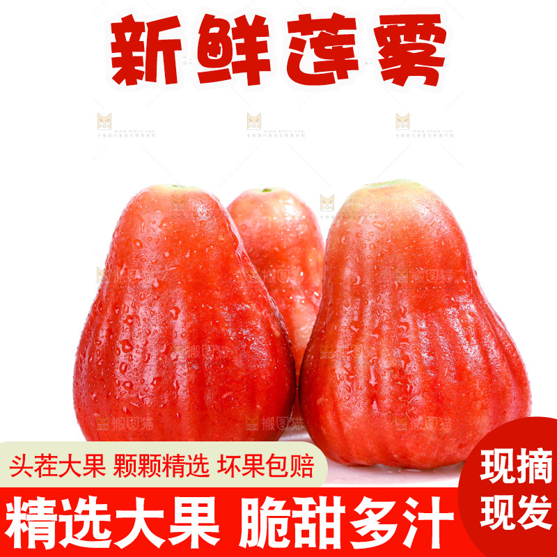 白底上的新鲜莲雾