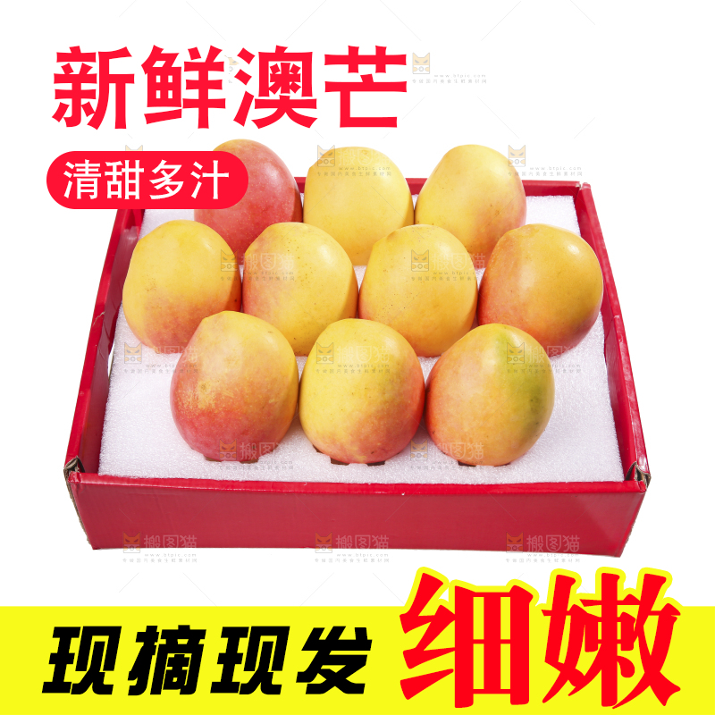 白底上的澳芒