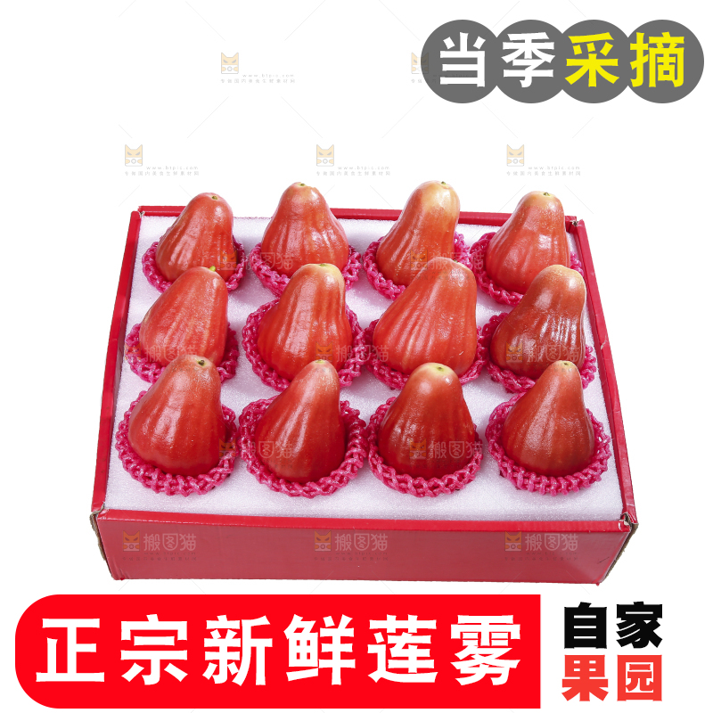 白底上的新鲜莲雾