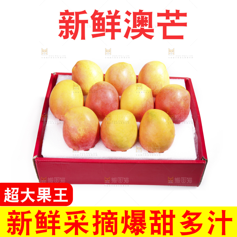 白底上的澳芒