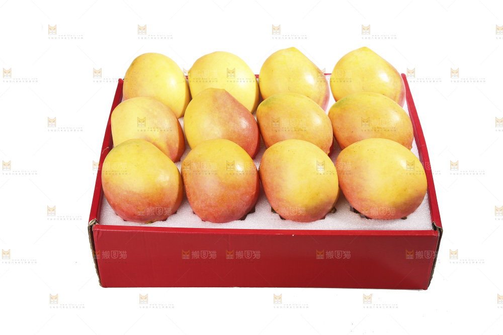 白底上的澳芒