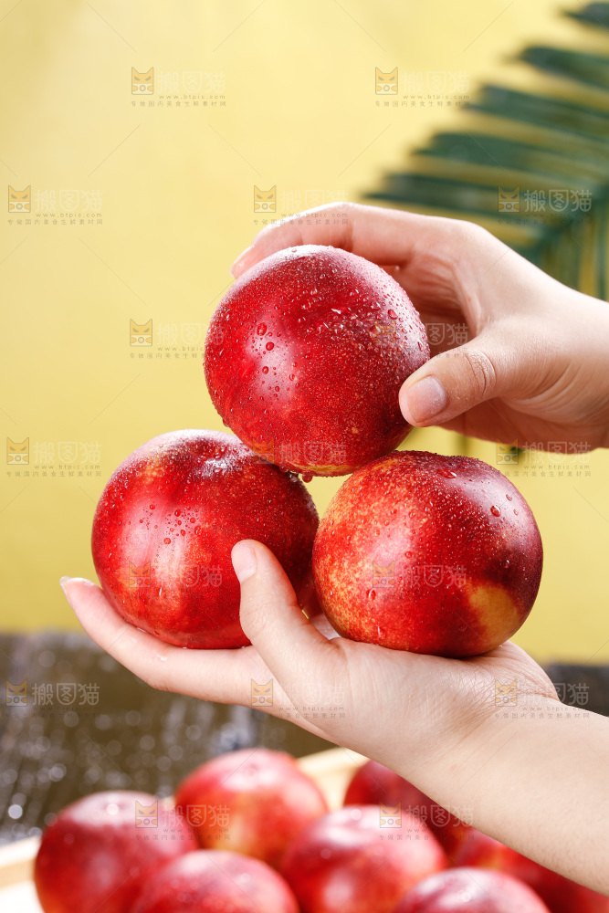 深底上的白心油桃