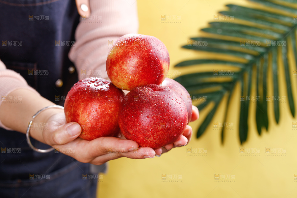 深底上的白心油桃