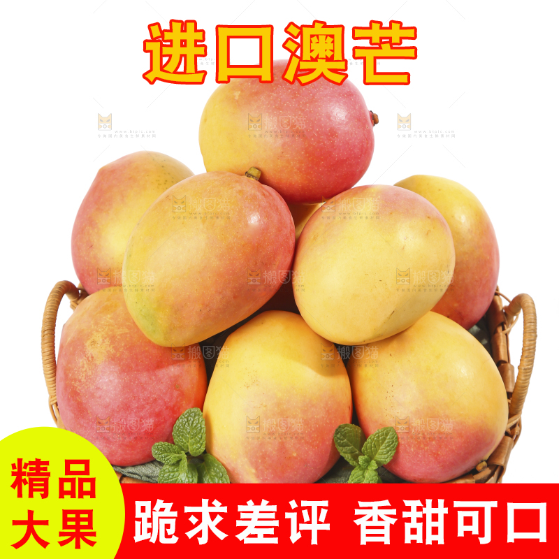 白底上的澳芒