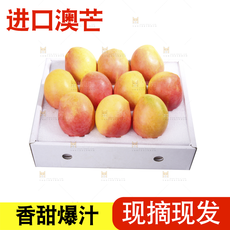 白底上的澳芒