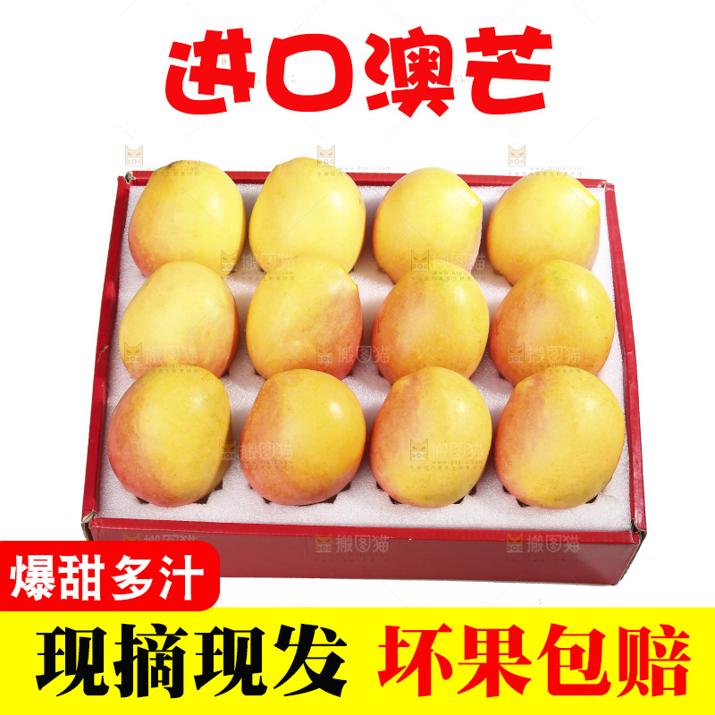 白底上的澳芒
