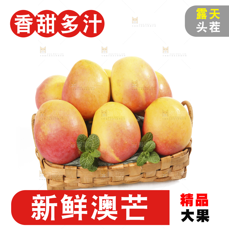白底上的澳芒