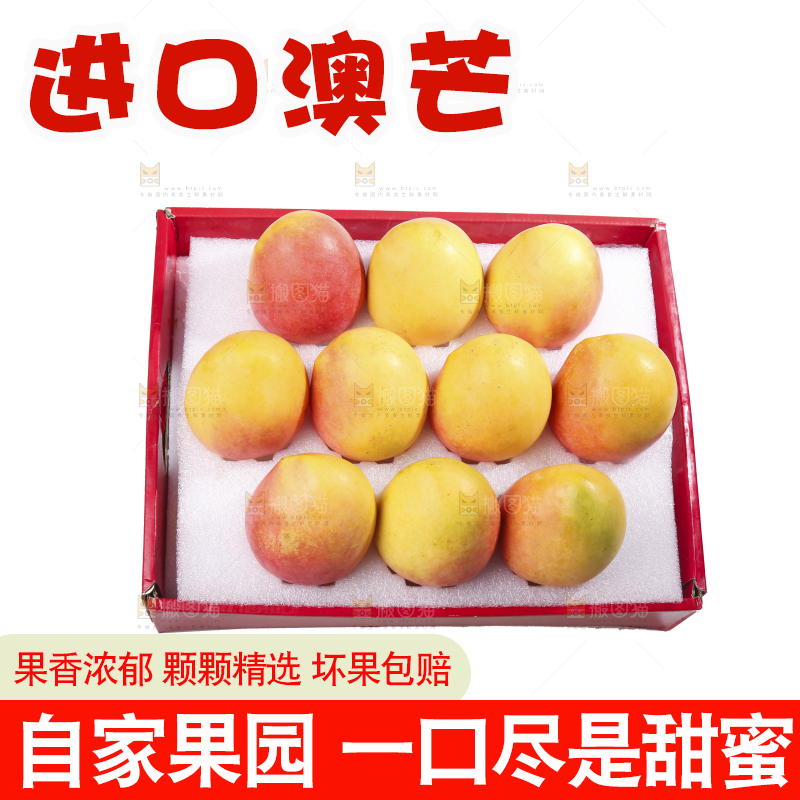 白底上的澳芒