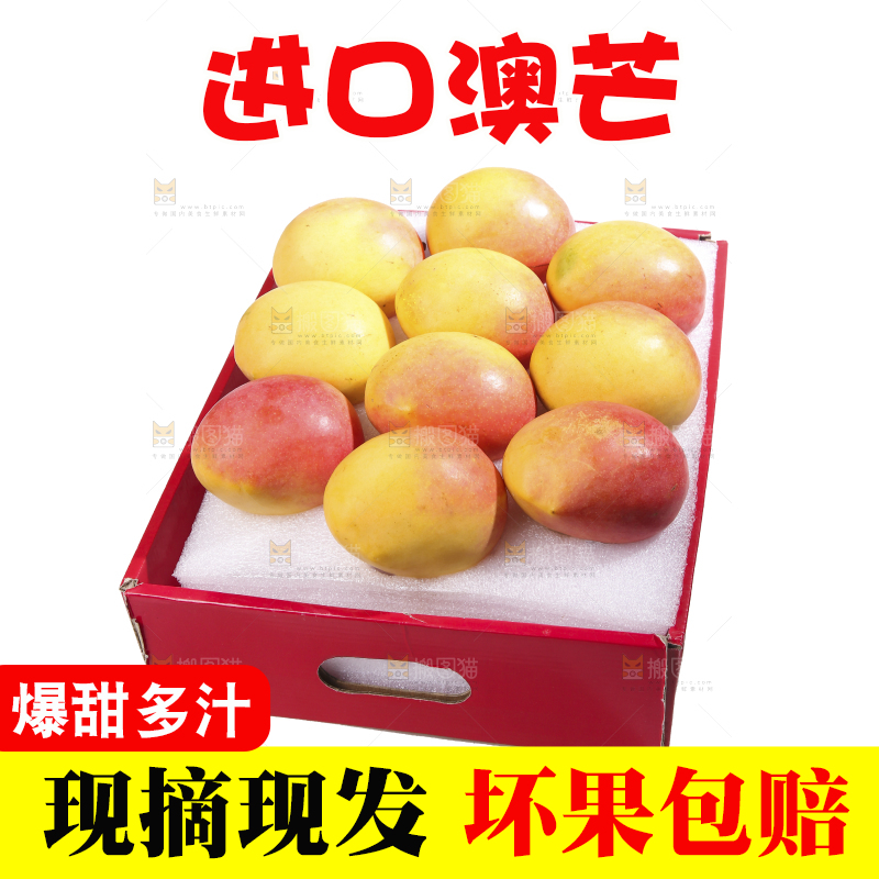 白底上的澳芒
