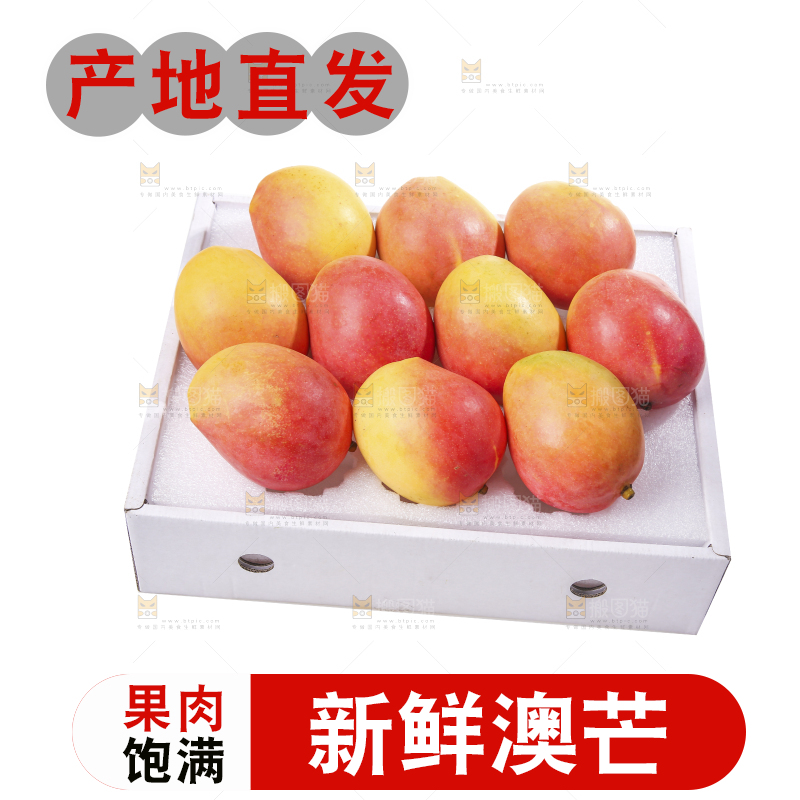 白底上的澳芒