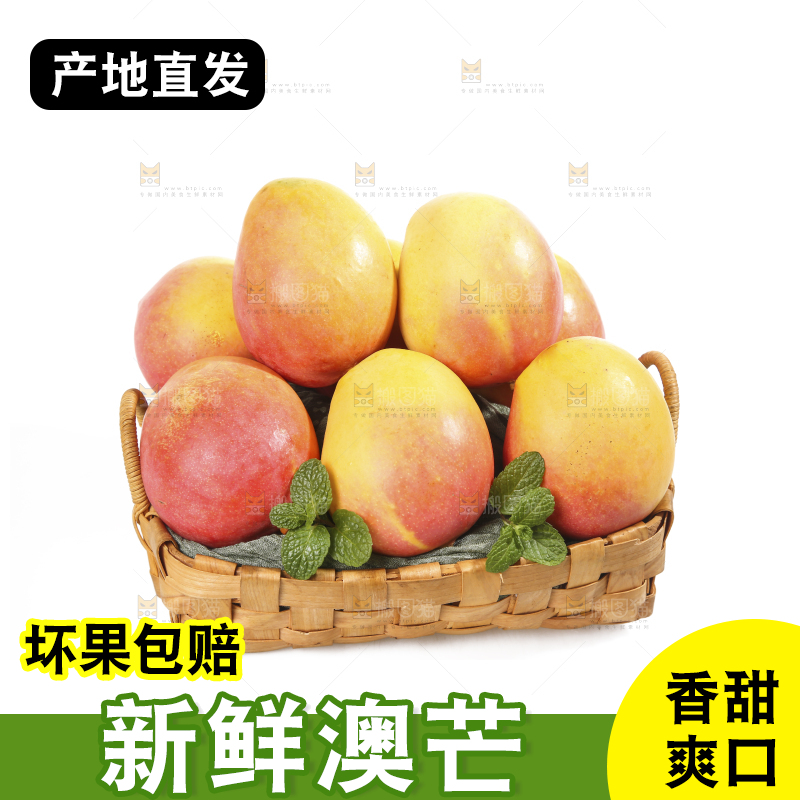 白底上的澳芒