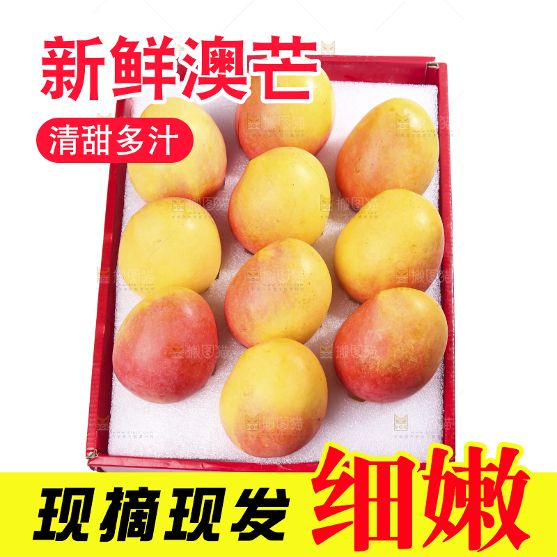 白底上的澳芒