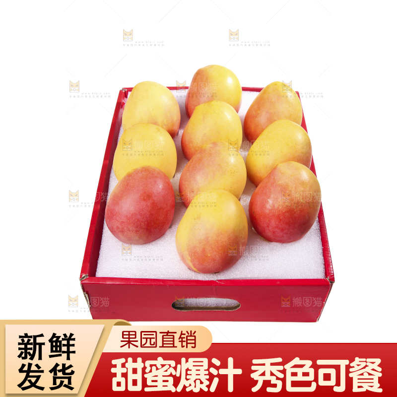 白底上的澳芒