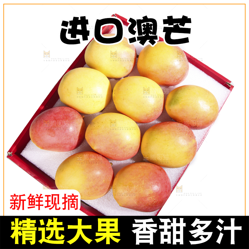 白底上的澳芒