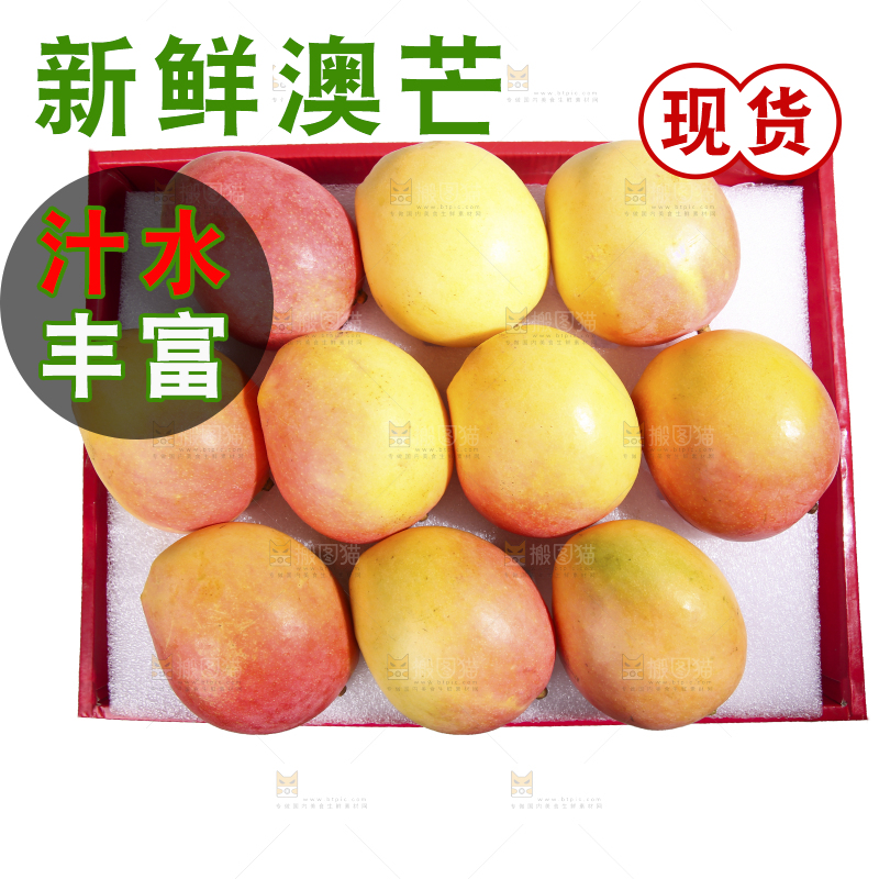 白底上的澳芒