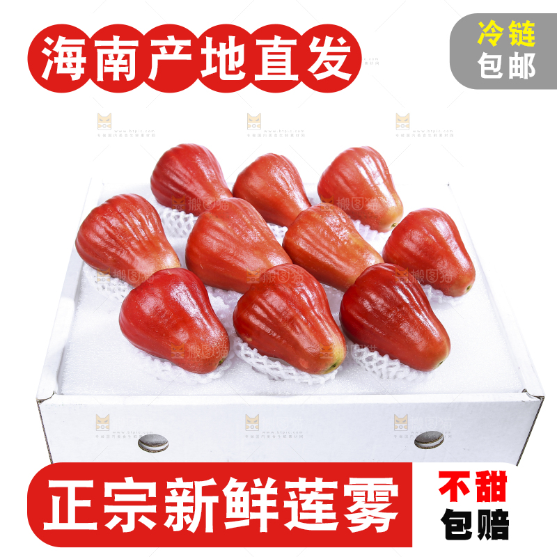 白底上的新鲜莲雾
