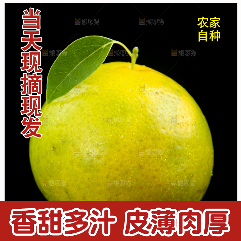 深底上的皇帝柑