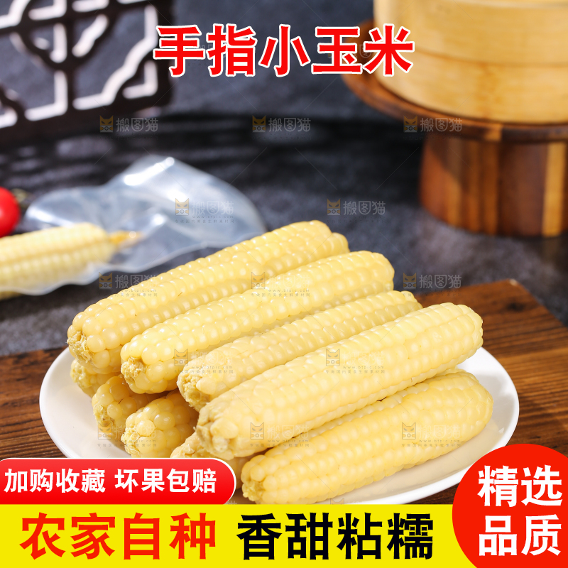 深底上的拇指小玉米