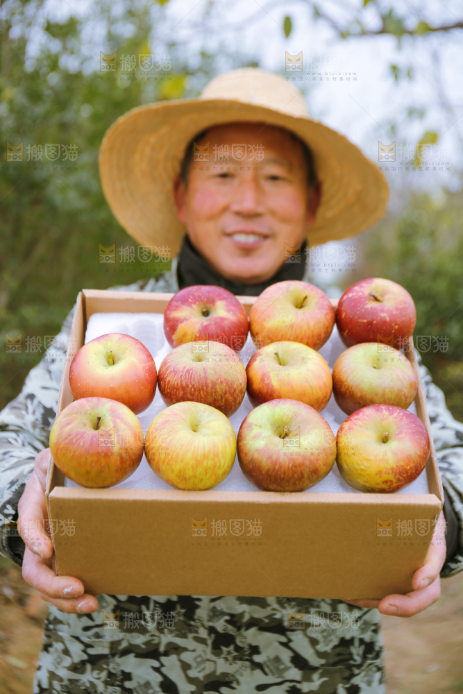 手里拿着昭通丑苹果