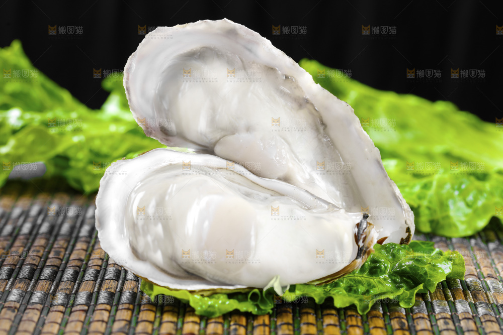 深底上的乳山生蚝