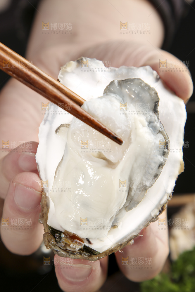 生蚝
