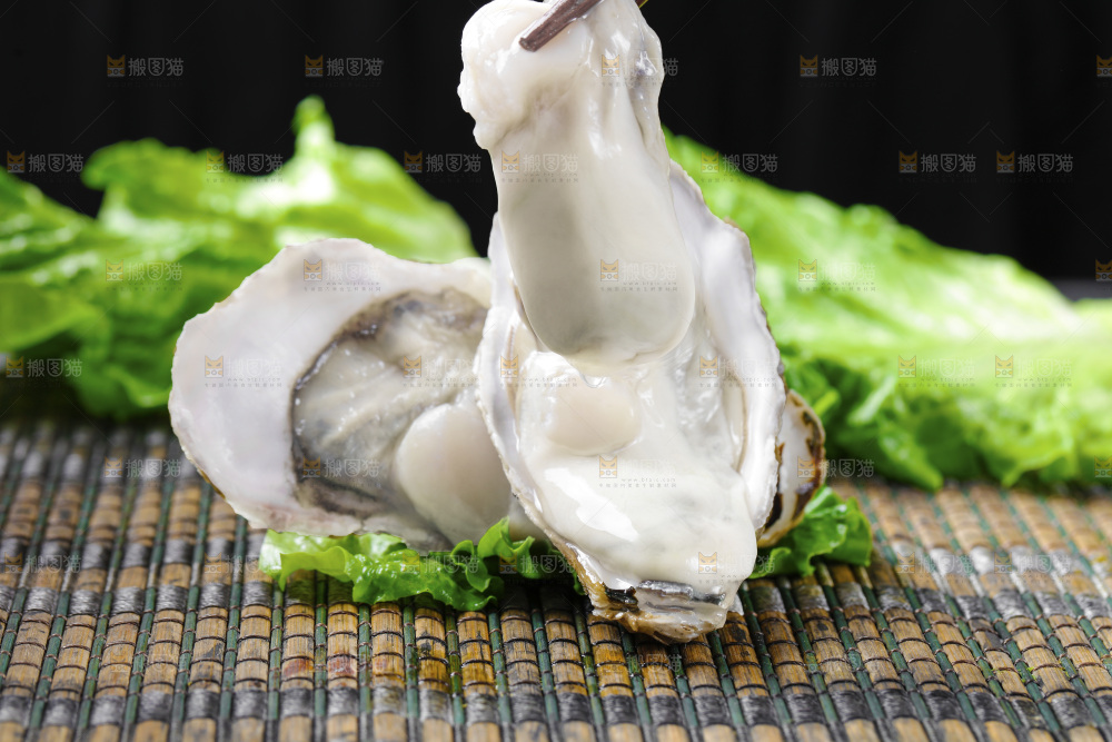 深底上的乳山生蚝