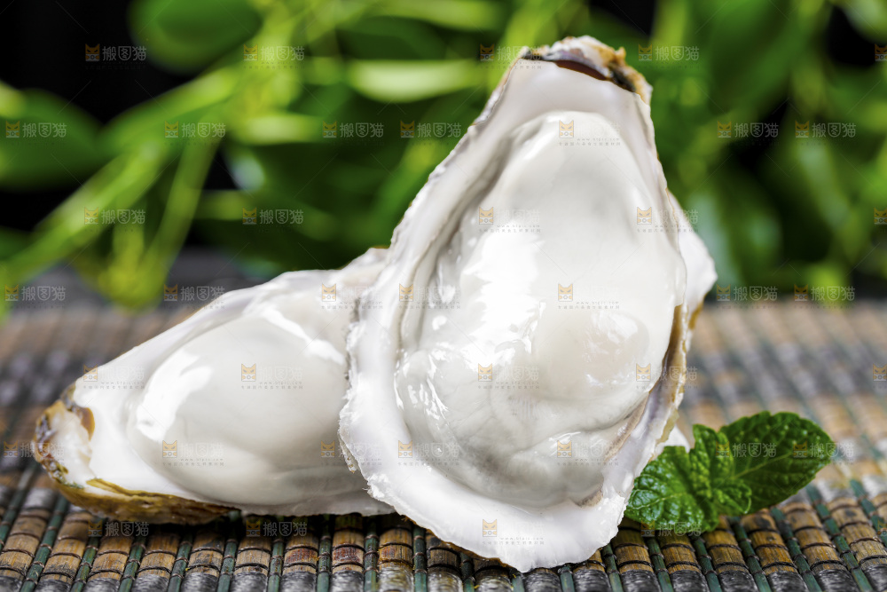 深底上的乳山生蚝