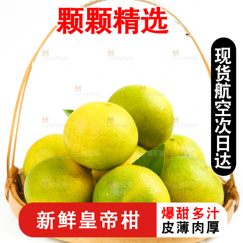 白底上的皇帝柑